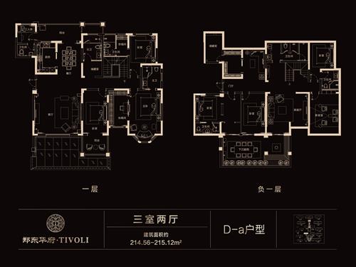 一期精装洋房三室两厅约214.56-215.12平米，D-a户型