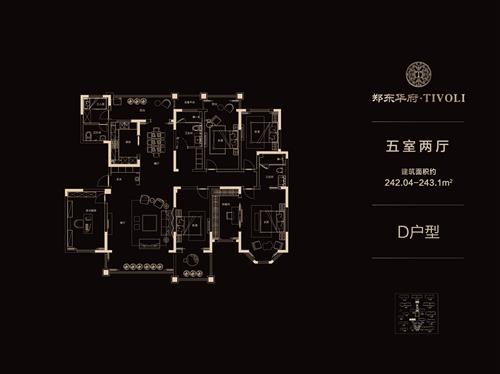 一期精装洋房五室两厅约242.04-243.1平米，D户型